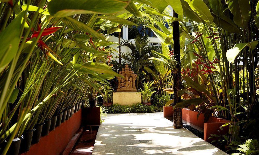 Safari Beach Hotel Patong Buitenkant foto